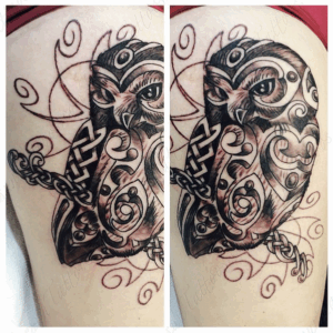 Tattoo in black and gray ink of an owl with Celtic knotwork by Jaesun Duggan